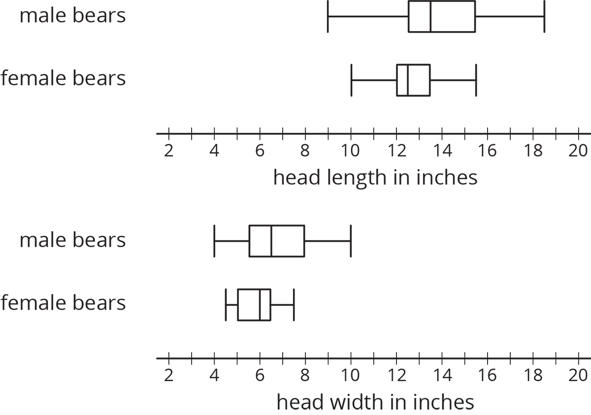 Two sets of box plots for "head length in inches" and "head width in inches". The numbers 2 through 20, in increments of 2, are indicated and there are tick marks midway between each indicated number.  For "head length in inches" the top box plot is labeled "male bears" and the five-number summary are as follows: Minimum value, 9. Maximum value, 19. Q1, 12 point 5. Q2, 13 point 5. Q3, 15 point 5. The bottom box plot is labeled "female bears" and the five-number summary are as follows: Minimum value, 10. Maximum value, 15 point 5. Q1, 12. Q2, 12 point 5. Q3, 13 point 5. For "head width in inches" the top box plot is labeled "male bears" and the five-number summary are as follows: Minimum value, 4. Maximum value, 10. Q1, 5 point 5. Q2, 6 point 5. Q3, 8. The bottom box plot is labeled "female bears" and the five-number summary are as follows: Minimum value, 4 point 5. Maximum value, 7 point 5. Q1, 5. Q2, 6. Q3, 7 point 5.