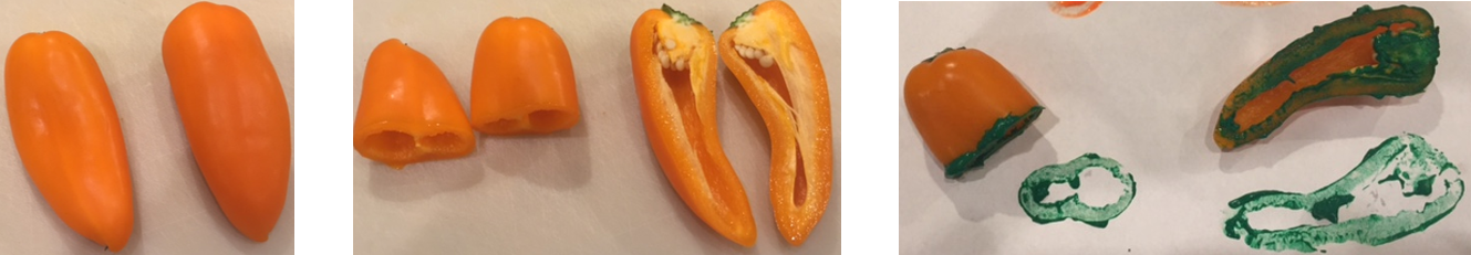 Three images are indicated. The first image is of two whole peppers. In the second image, the first pepper is sliced in half horizontally and the second pepper is sliced in half vertically. The third image is of each cross section created by the slices and the painted imprint of each cross section.